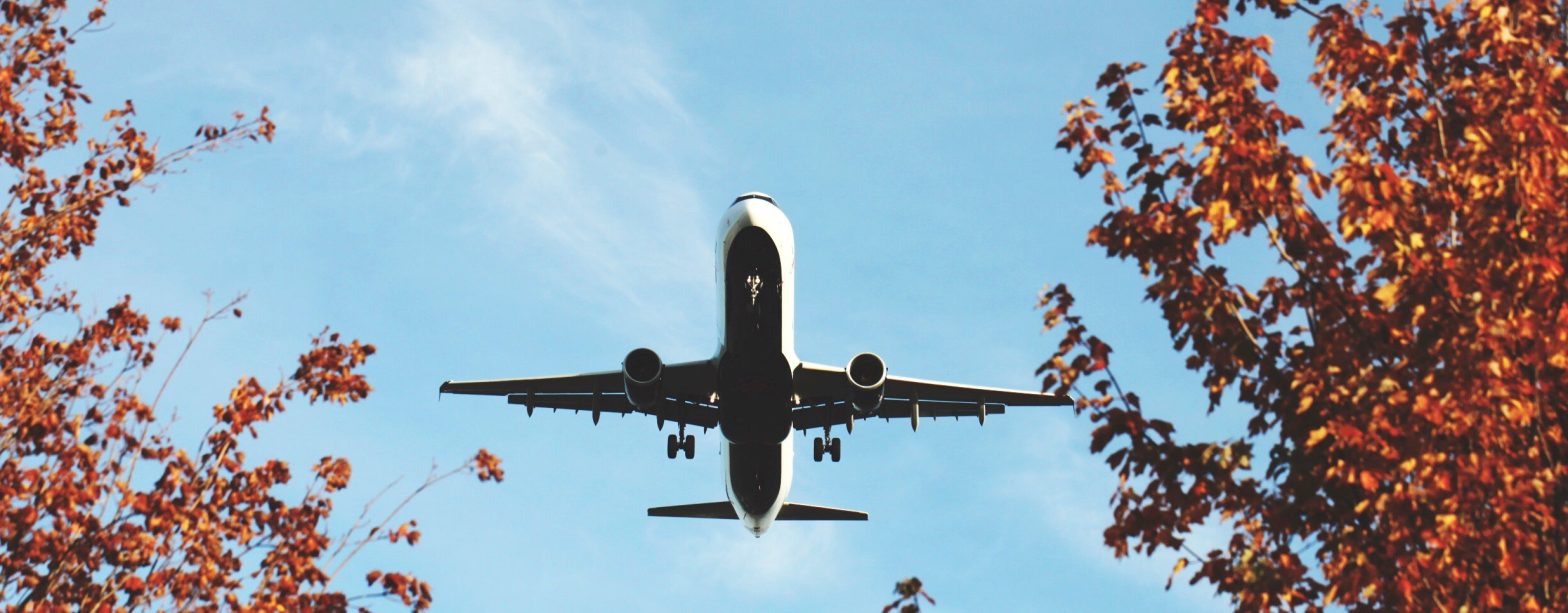 Compare Various Travel Cover Policies